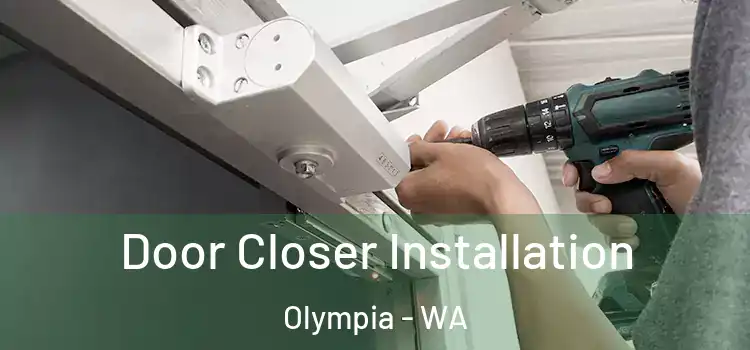 Door Closer Installation Olympia - WA