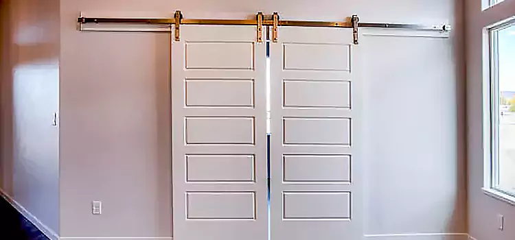 Glass Barn Door with Installation Hardware Kit Olympia