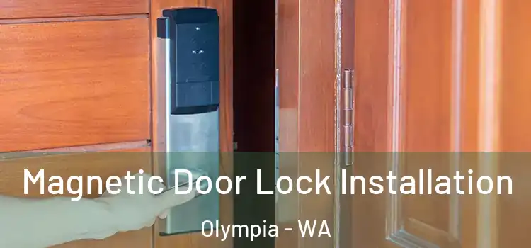  Magnetic Door Lock Installation Olympia - WA