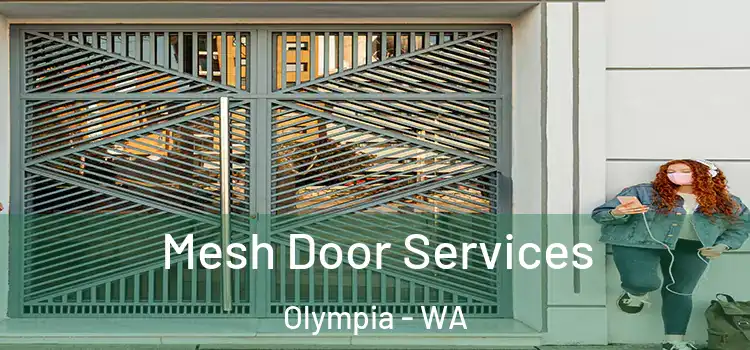 Mesh Door Services Olympia - WA