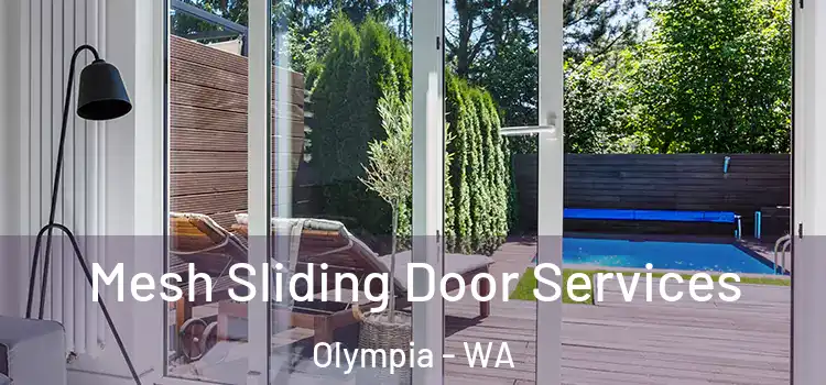Mesh Sliding Door Services Olympia - WA