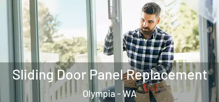  Sliding Door Panel Replacement Olympia - WA